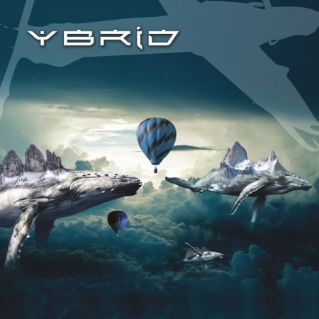 Ybrid - Animal