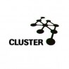 Cluster Records